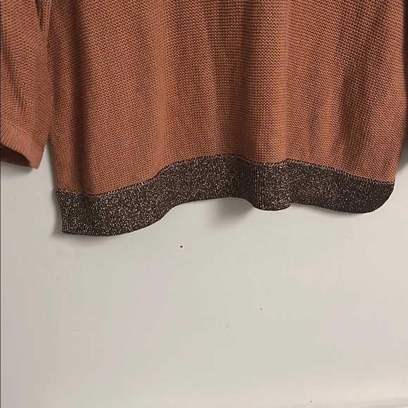 Rust Orange Sweater with Glitter Trim - Picture 3 of 6